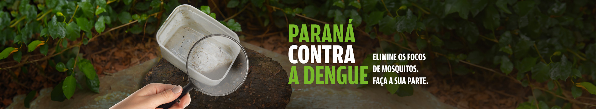 Paraná contra Dengue Elimine os focos do mosquito. faça sua parte
