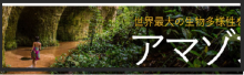 9 Japão – Embratur